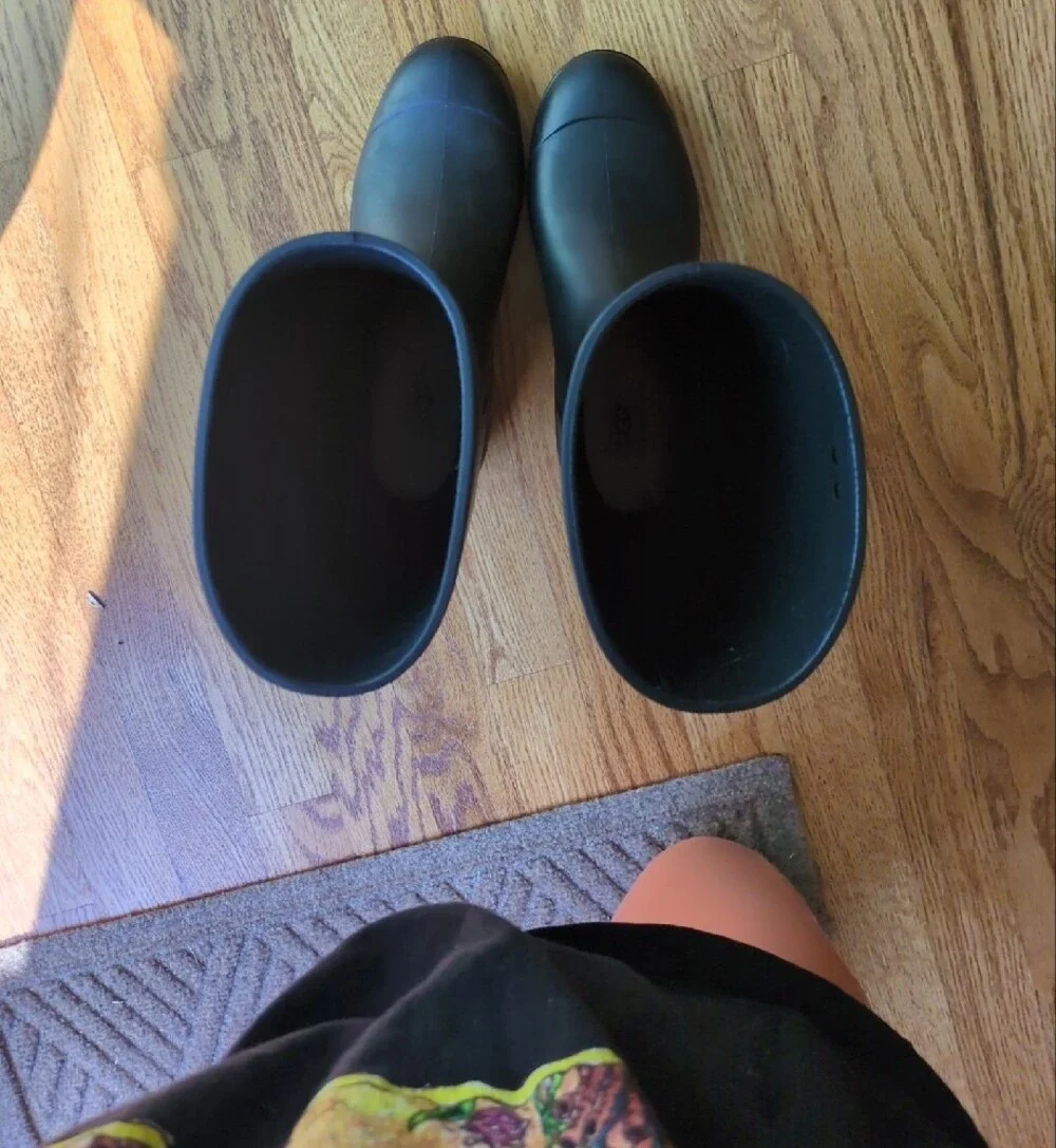 Ugg Shelby Tall Rain Boots